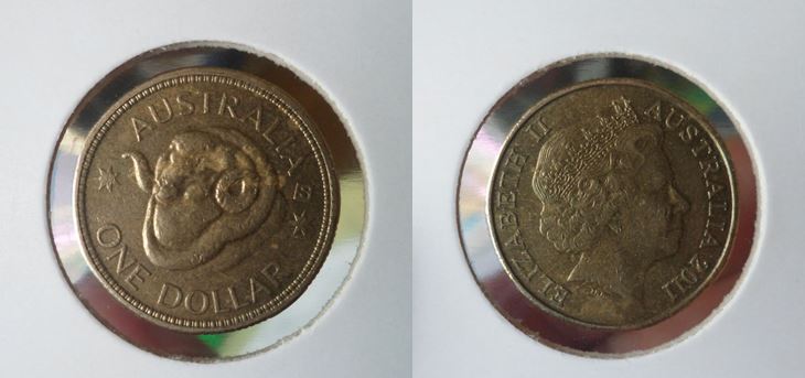 Noodling-Find-Of-The-Week?